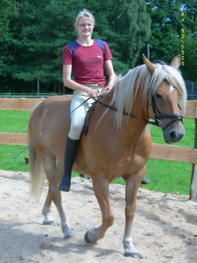 Suuuuche Reitbeteiligung in 21....einfach mal lesen :-) - Reitbeteiligung - Bardowick