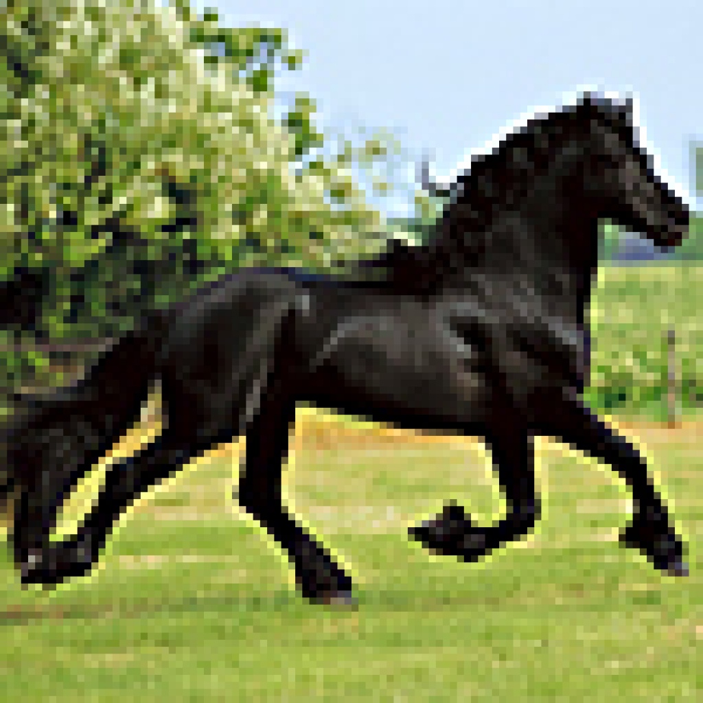 Suche Reitbeteiligung in und um Nordhausen - Reitbeteiligung - Nordhausen