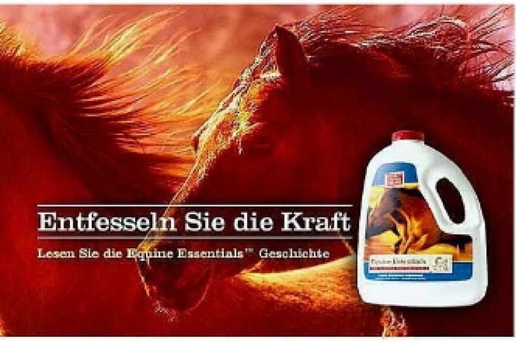 Equine Essentials™ Original für Ihr Pferd! - Pferdezubehoer - Balingen