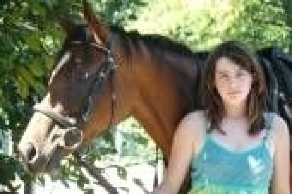 Suche reitbeteiligung - Reitbeteiligung - Baden Baden