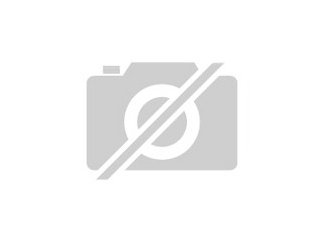 Offenstallplatz für Wallach - Stallplatz - Neuenbürg