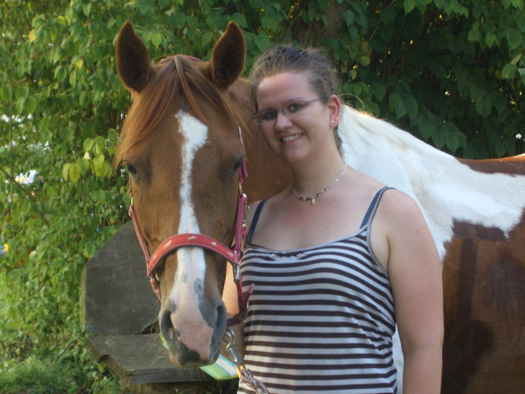 SUCHE Reitbeteiligung/ Reitpartner/ Pflegepferd - Reitbeteiligung - Weißenfels, Haynsburg