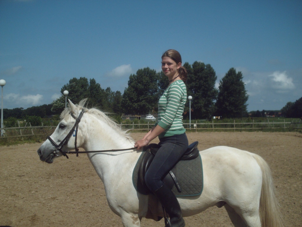 Suche Reitbeteiligung im Kreis Köln/Leverkusen - Reitbeteiligung - Köln