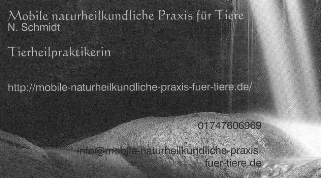 Blutegeltherapie!!! - Pferdezubehoer - 14806