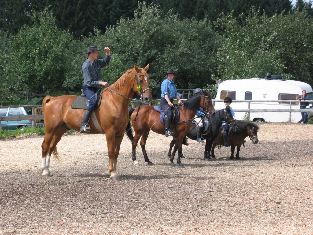 Reiten lernen oder Reitkenntnisse vertiefen? - Reitbeteiligung - Heiligenberg