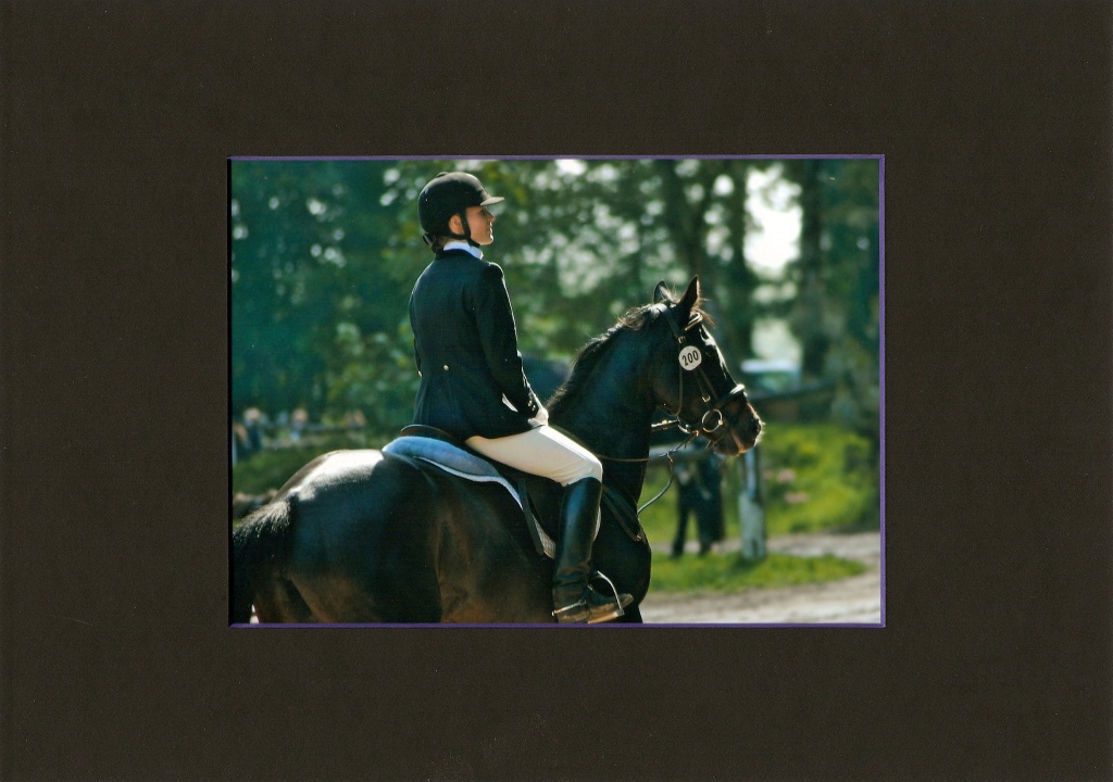 Top Trakehnerhengst - Hengst - Düsseldorf