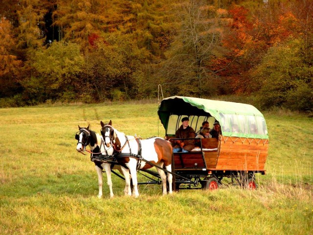 Planwagen für 10 Personen - Pferde Kutsche - Bettenfeld