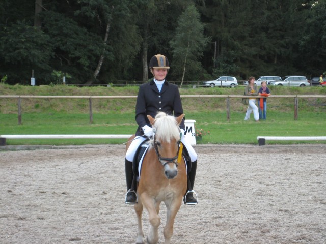 Super Einsteigerpony !!! - Ponys - celle