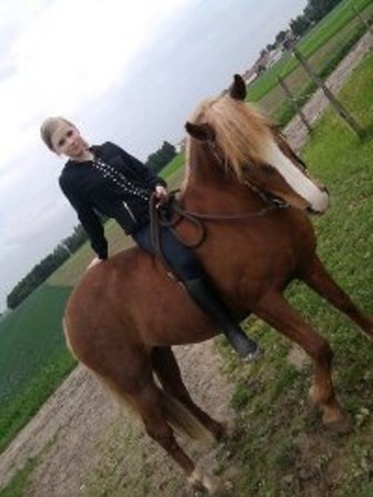 Suche Reitbeteiligung - Reitbeteiligung - Vaterstetten