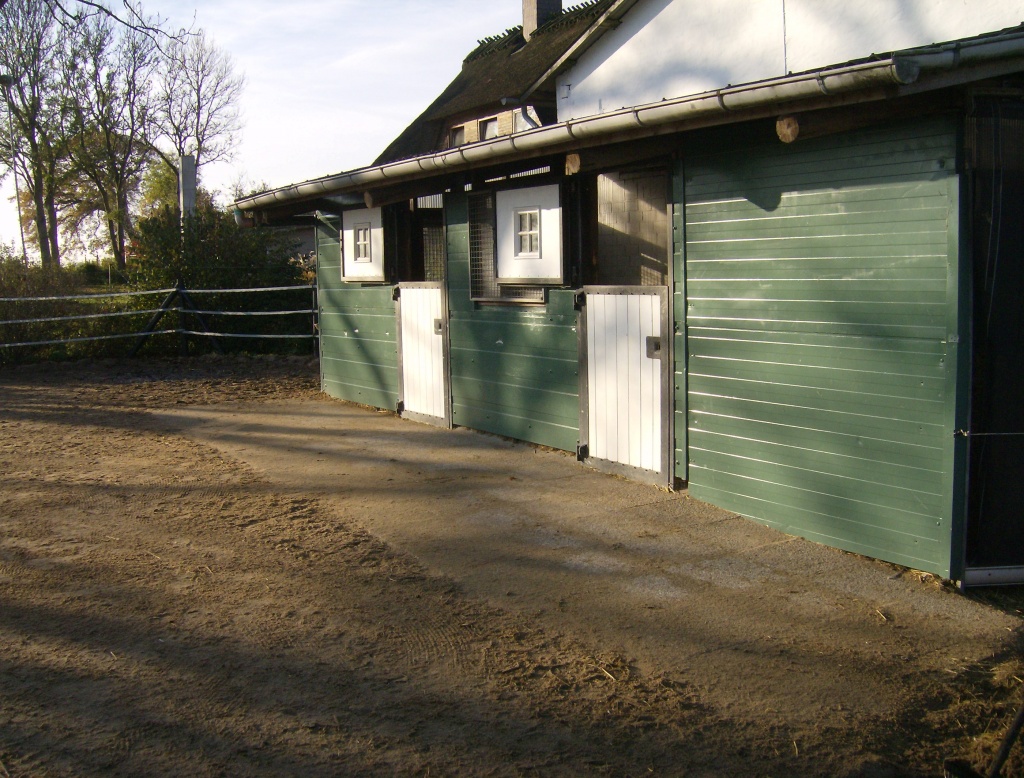 Geräumiger Pensionsplatz für ihr Pferd - Stallplatz - Husby