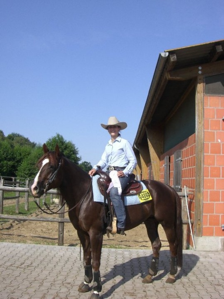 Top Allrounder Ready To Show, 6-jähriger Paint Horse Hengst - Hengst - Hamburg