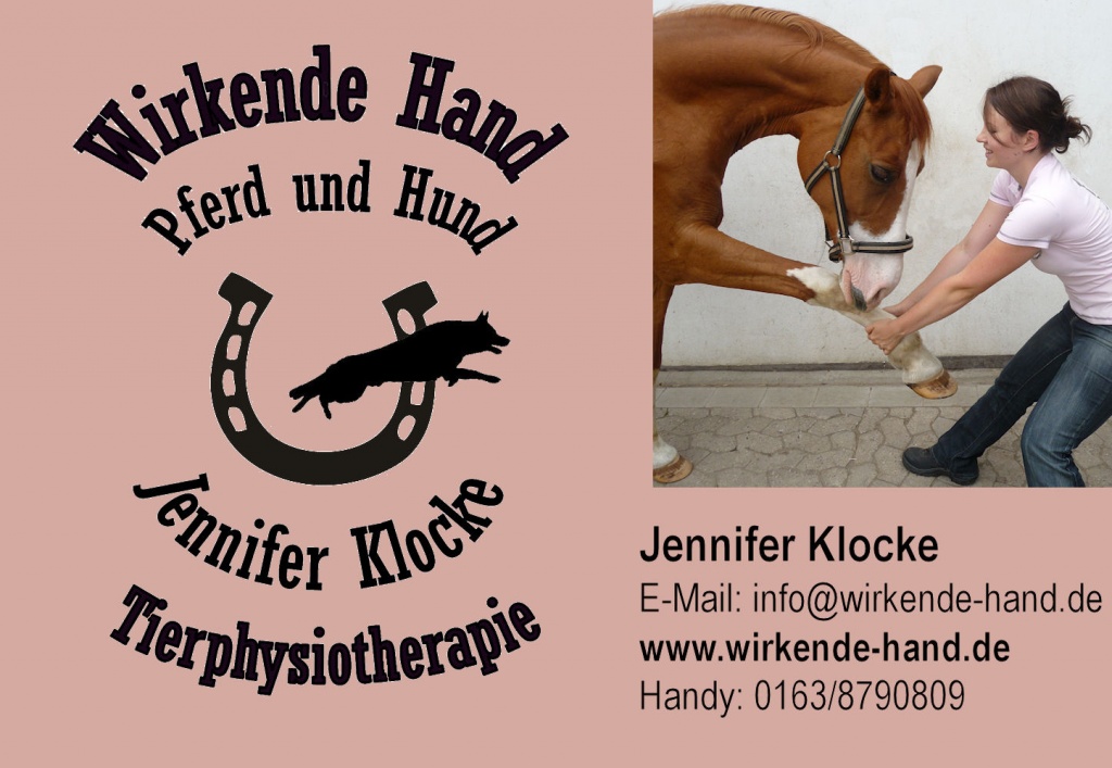 Tierphysiotherapie  Wirkende Hand Pferd und Hund - Grosspferde - Witten