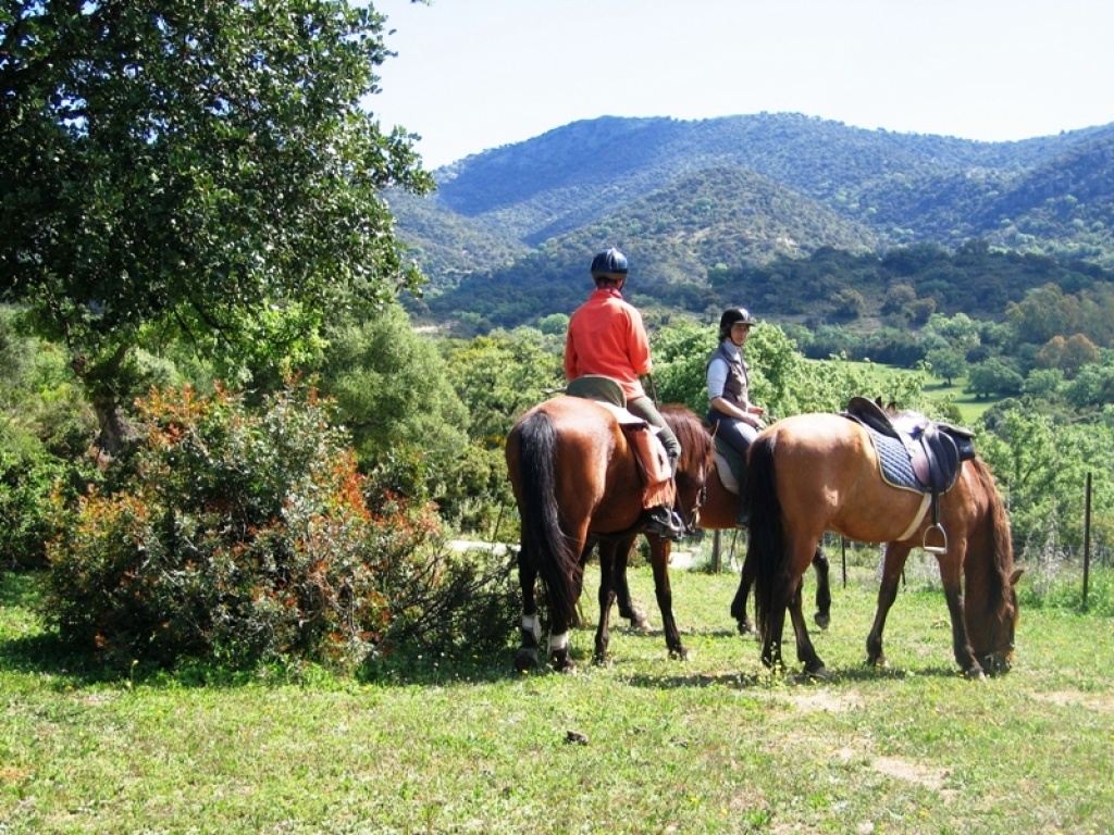 Reiten in Andalusien - Reiturlaub und Trails im Land der Weissen Dörfer - Reitferien - Prado del Rey
