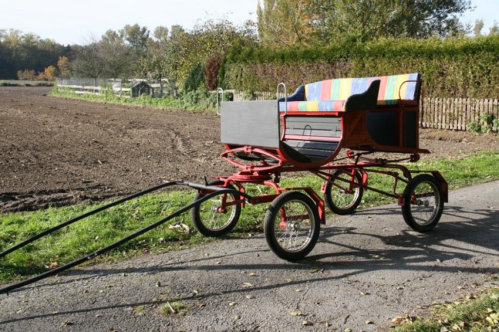 Buggy Kutsche - Kutsche - Delbrück