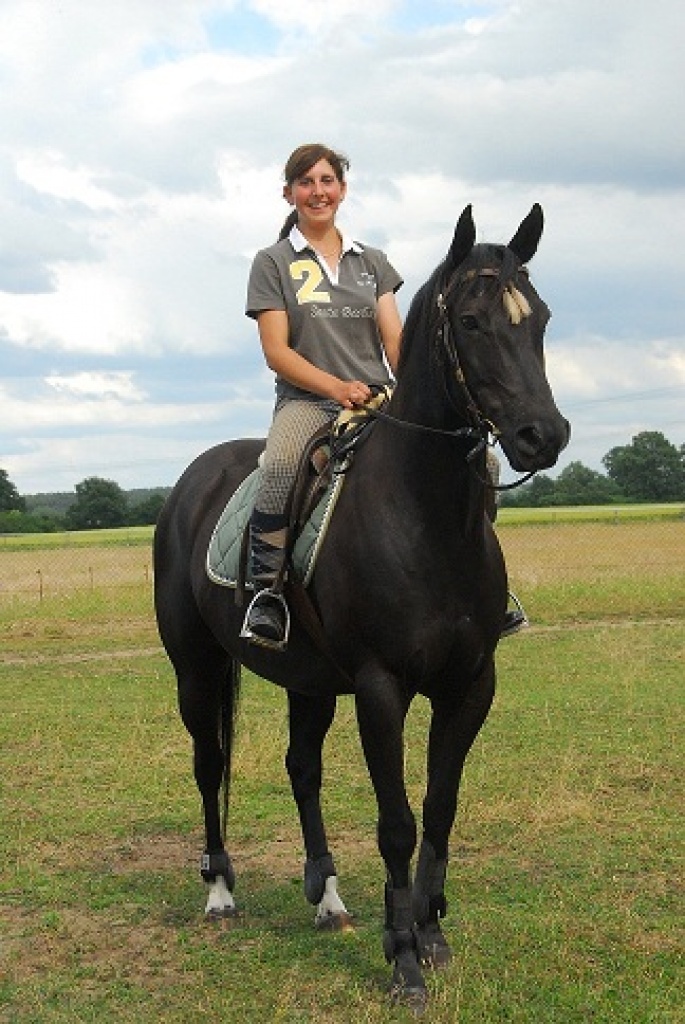 Alles rund ums Pferd! In Simonshagen! - Stallplatz - Simonshagen