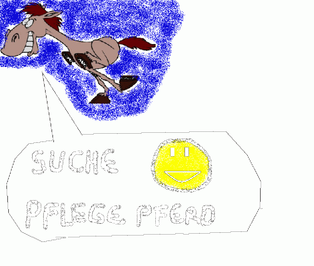 SUCHE PFLEGEPFERD IN VORARLBERG! :D - Ponys - Dornbirn