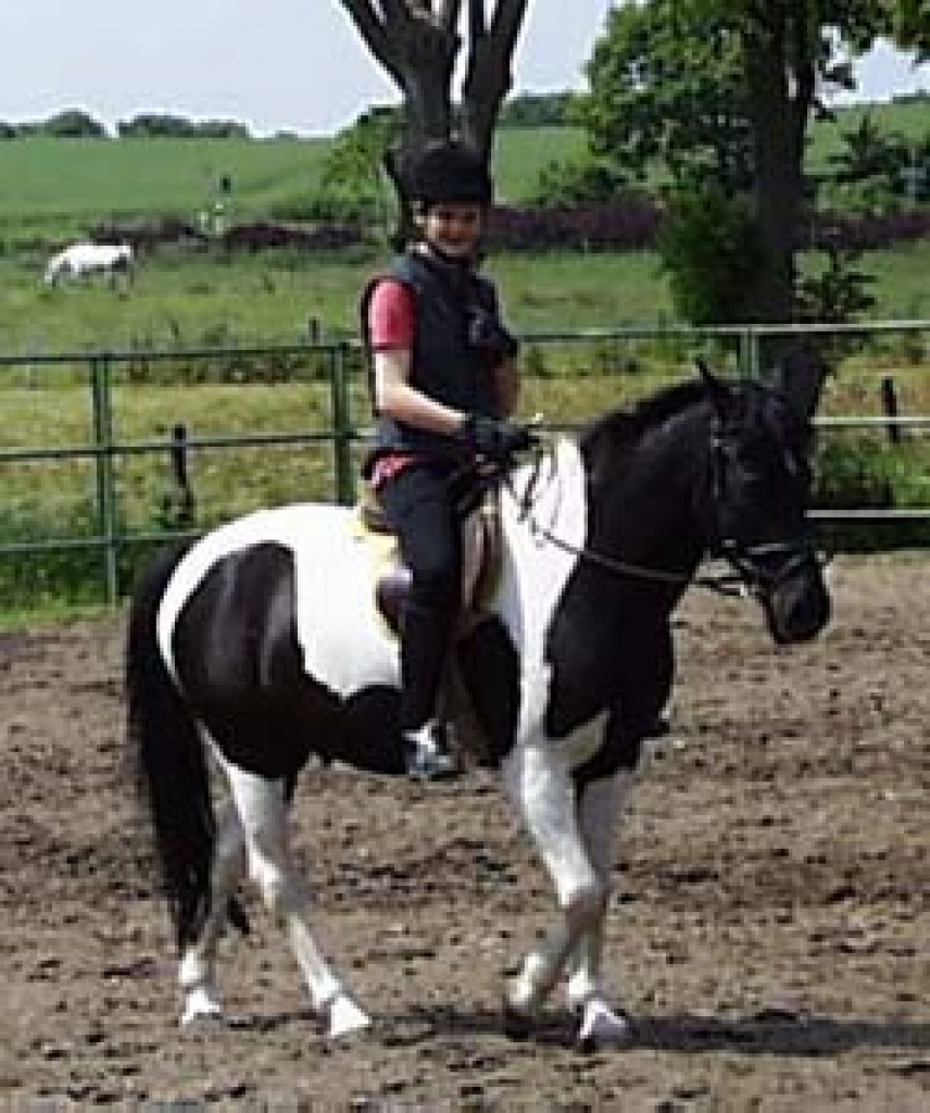 Reitabzeichen Lehrgang REITSPORTZENTRUM MERKENDORF - Reitferien - Neustadt in Holstein