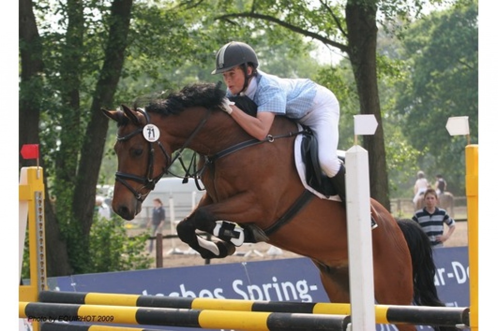 Sportlicher hübscher Deutsches Reitpony Wallach und Stute zur verkaufen - Ponys - München