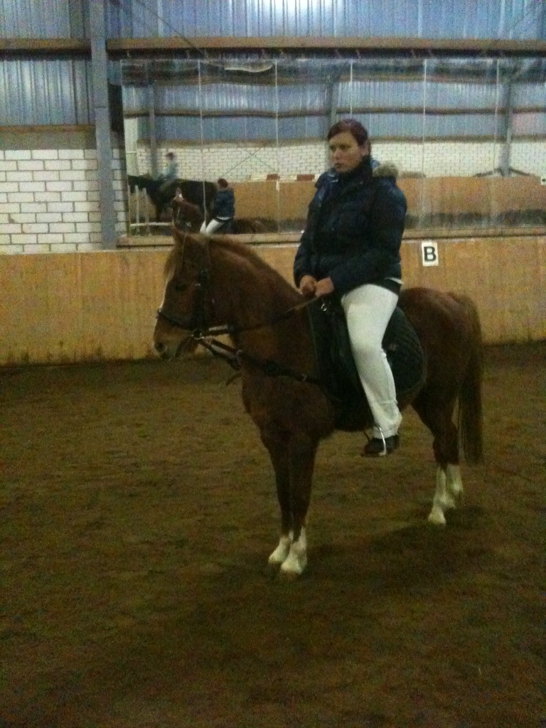 Reitbeteiligung in Bensheim - Reitbeteiligung - Bensheim