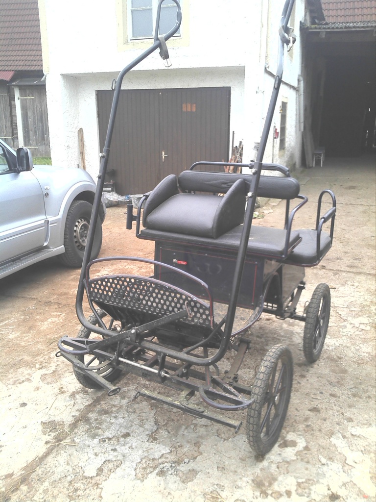 Günstige Kutsche - Pony Marathonwagen (Shetty-Kleinpferdkutsche) - Kutsche - Rattelsdorf