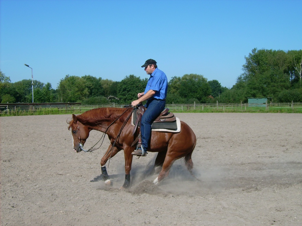 Westernreiten - Reitunterricht - Reitbeteiligung - Heinsberg