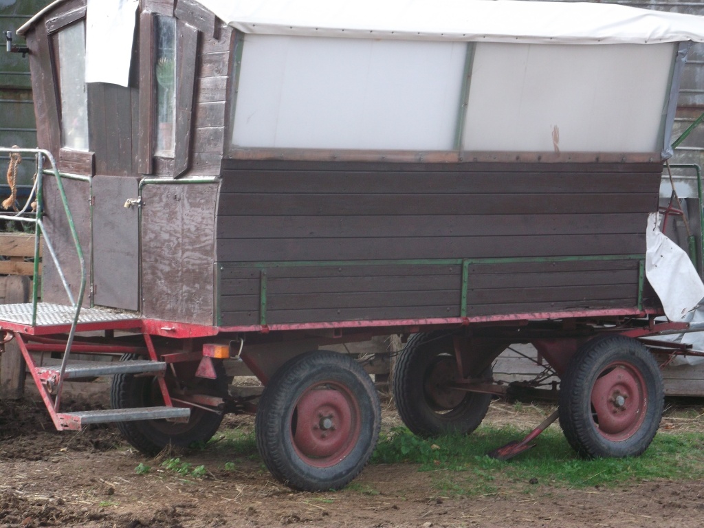Zigeuner kutsche planwagen - Kutsche - Quedlinburg