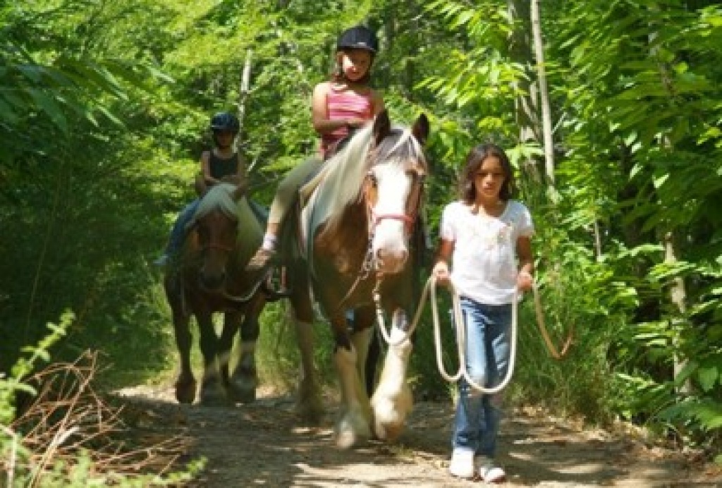 Toscana - Familienferien mit Reitgelegenheit - Reitferien - Travale