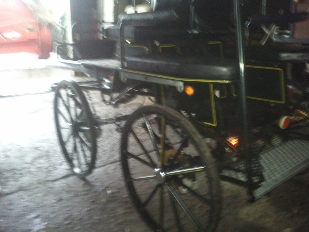 Hans Meier Marathonwagen - Kutsche - Zudar