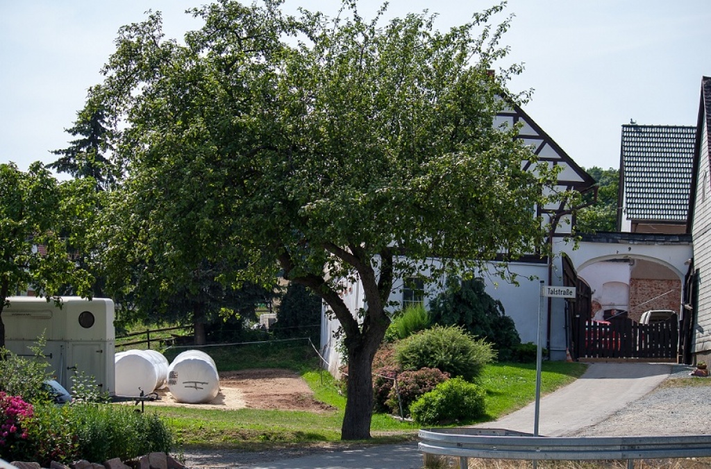Freie Plätze für ihr Pferd in idyllischer Lage! Vom Jungpferd bis zum Rentner al - Stallplatz - Neukirchen Pleiße