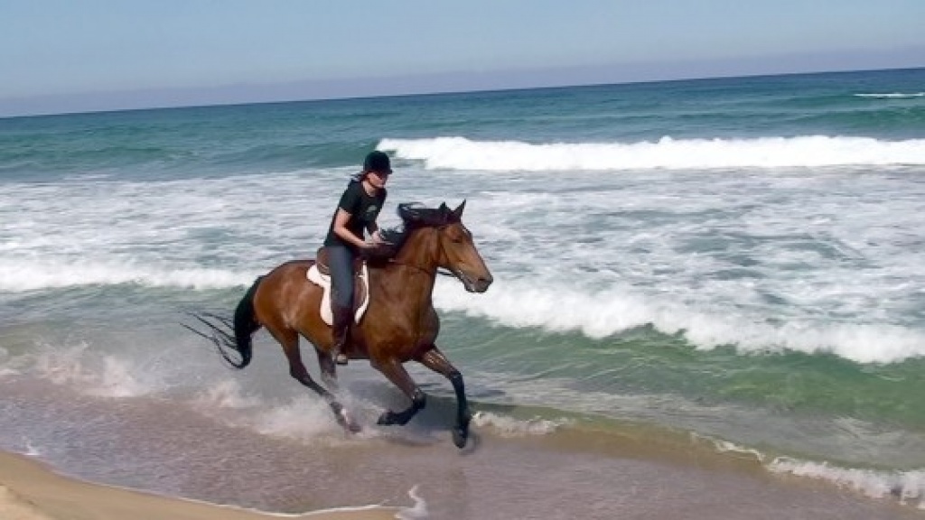 Reiterferien am Meer in Sardinien - Reitferien - Portixeddu - Fluminimaggiore ( CI )
