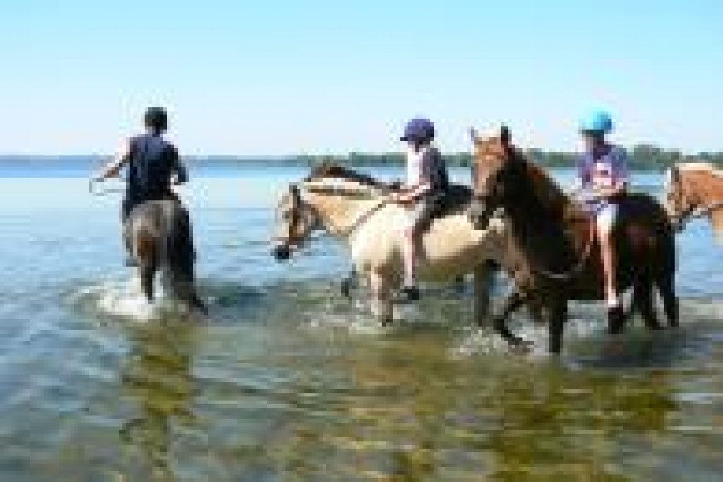 Reiterferien in Schleswig Holstein - Reitferien - Groß Wittensee