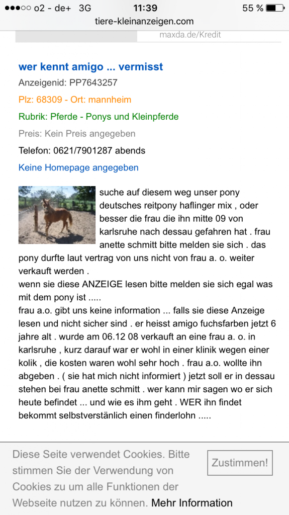 Suche Deutsches Reitpony mix Amigo!! - Ponys - Mannheim