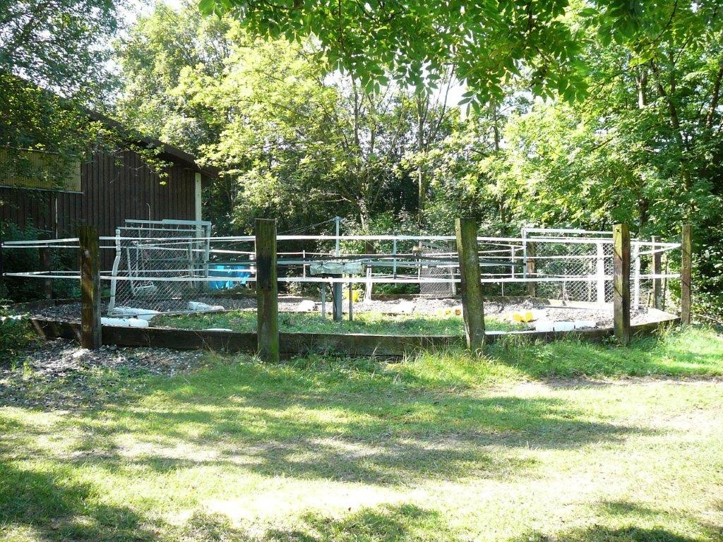 Freie Boxen Pferdedressurhof Teufental Schweiz - Stallplatz - Bubendorf