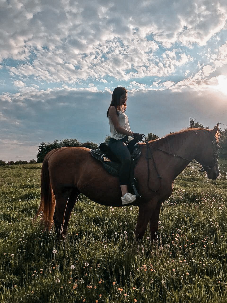 Ich suche eine Reitbeteiligung, Reiter sucht Pferd - Reitbeteiligung - Wuppertal