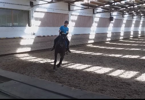 Suche Reitbeteiligung - Grosspferde - Memmingen