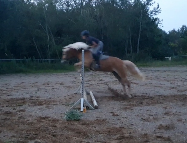 Reitbeteiligung  Reiter sucht Pferd - Reitbeteiligung - Burbach