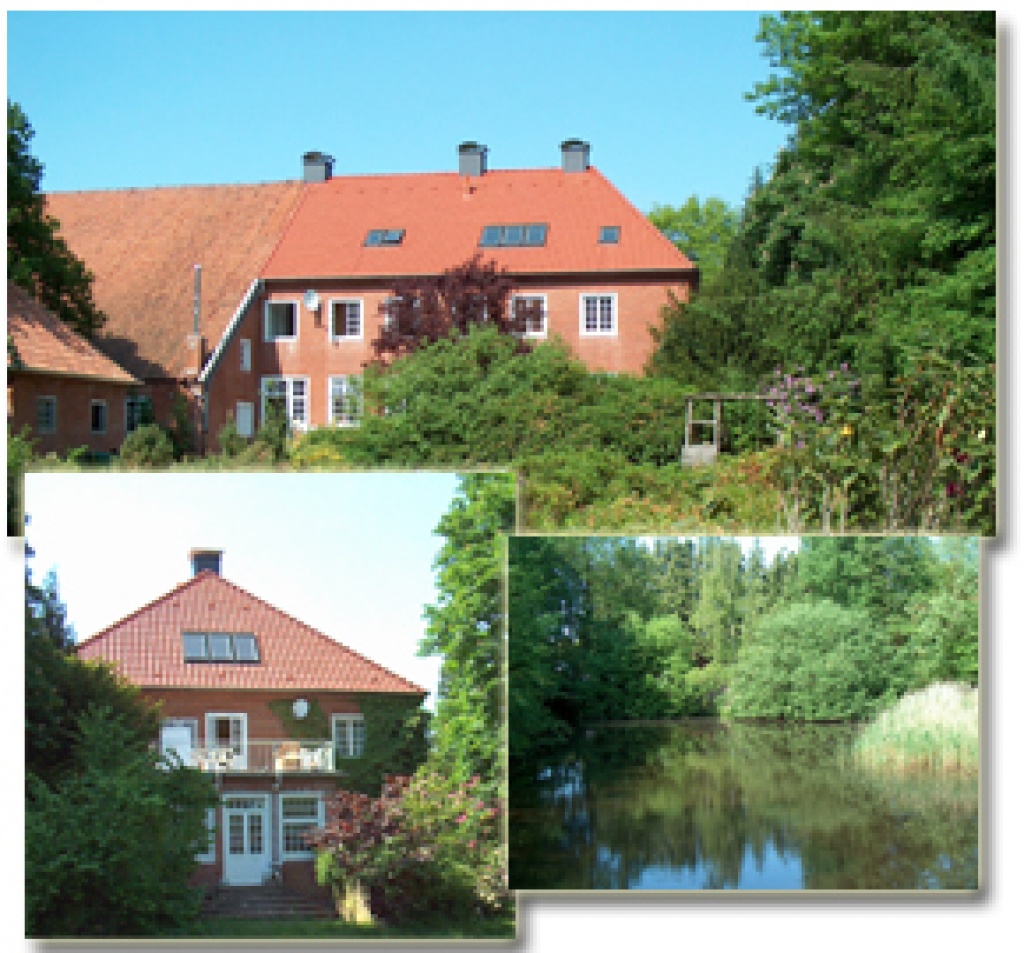 REITERFERIEN AUF DER DOMÄNE IM KÖNIGSMOOR - Reitferien - Leer Ostfriesland