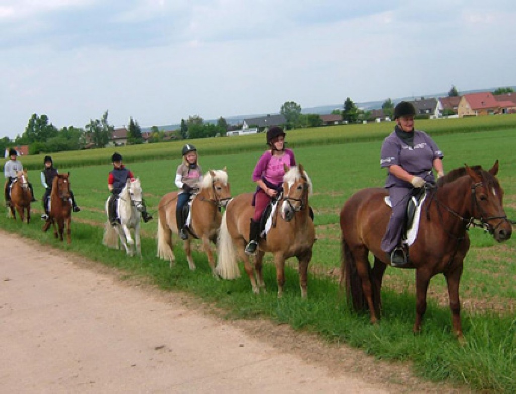Familienreiturlaub für jung und alt, mit dem Sportpartner Pferd - Reitferien - 91802