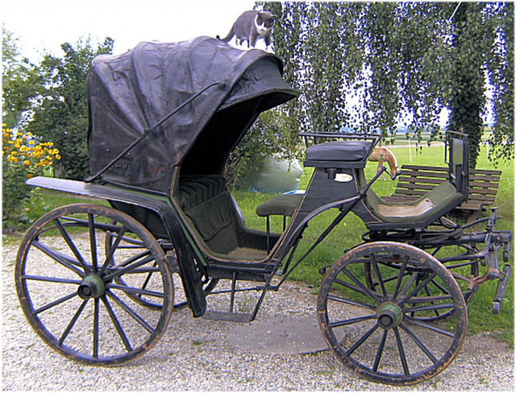 Historische Viktoria Kutsche mit Lederverdeck - Kutsche - Bayern/Taufkirchen/Vils