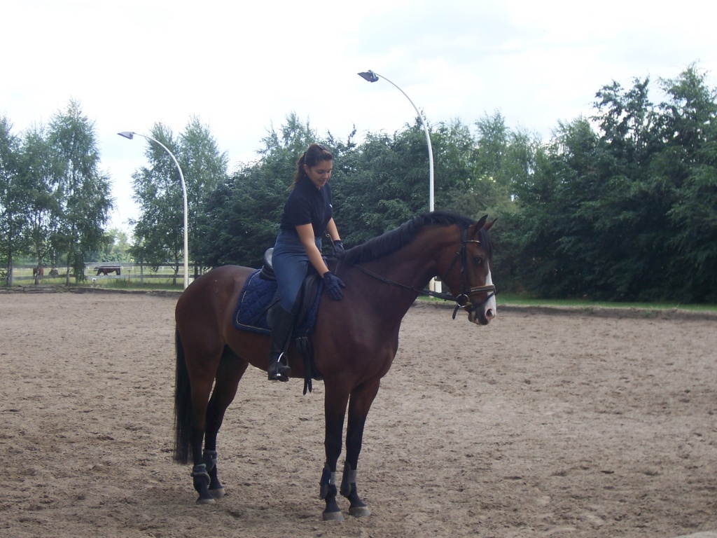 Suche eine Talentierte Reitbeteiligung - Reitbeteiligung - Berlin