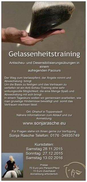 Seminar Gelassenheitstraining - Reitunterricht - Toppenstedt