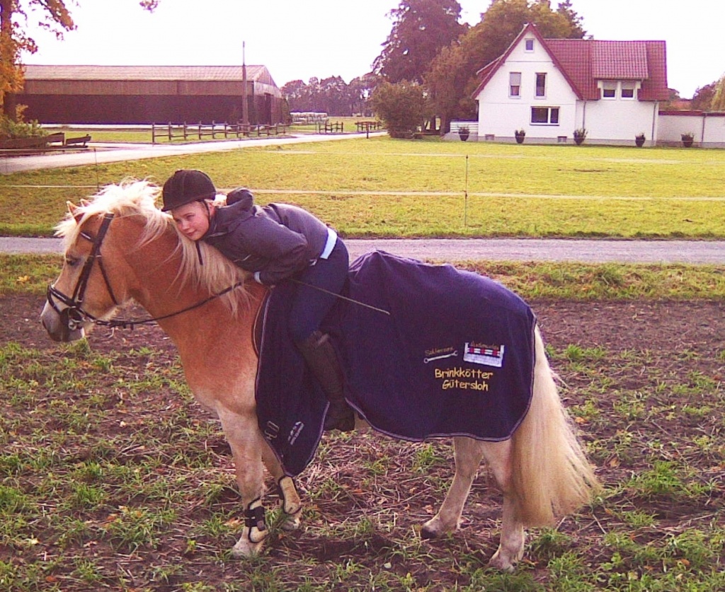 STOP! Suche Pflegepferd7Reitbeteiligung in Gütersloh. - Reitbeteiligung - Gütersloh