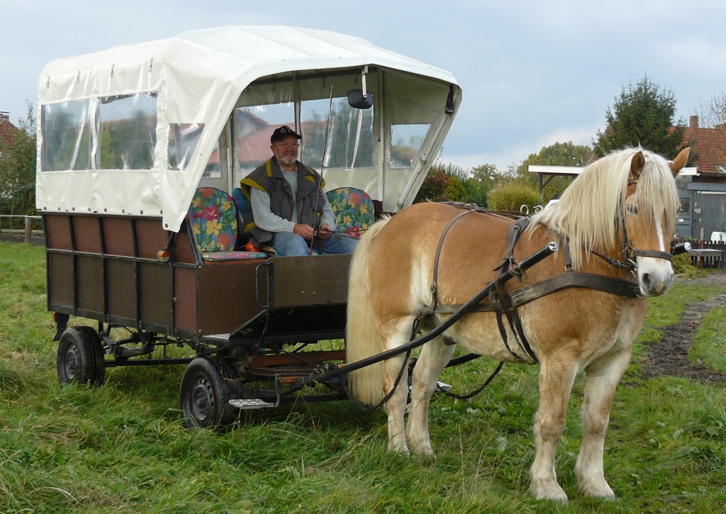 Planwagen - Kutsche - Gnarrenburg