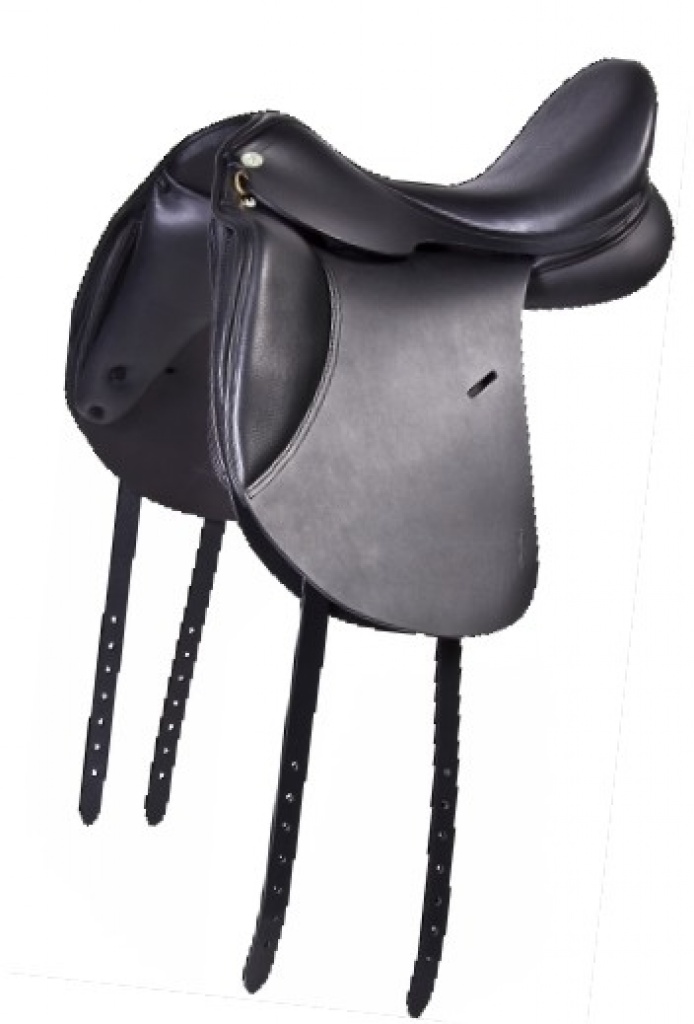 Dressursattel 3monate alt von JC ,,Tango - Sattel - Freienwill