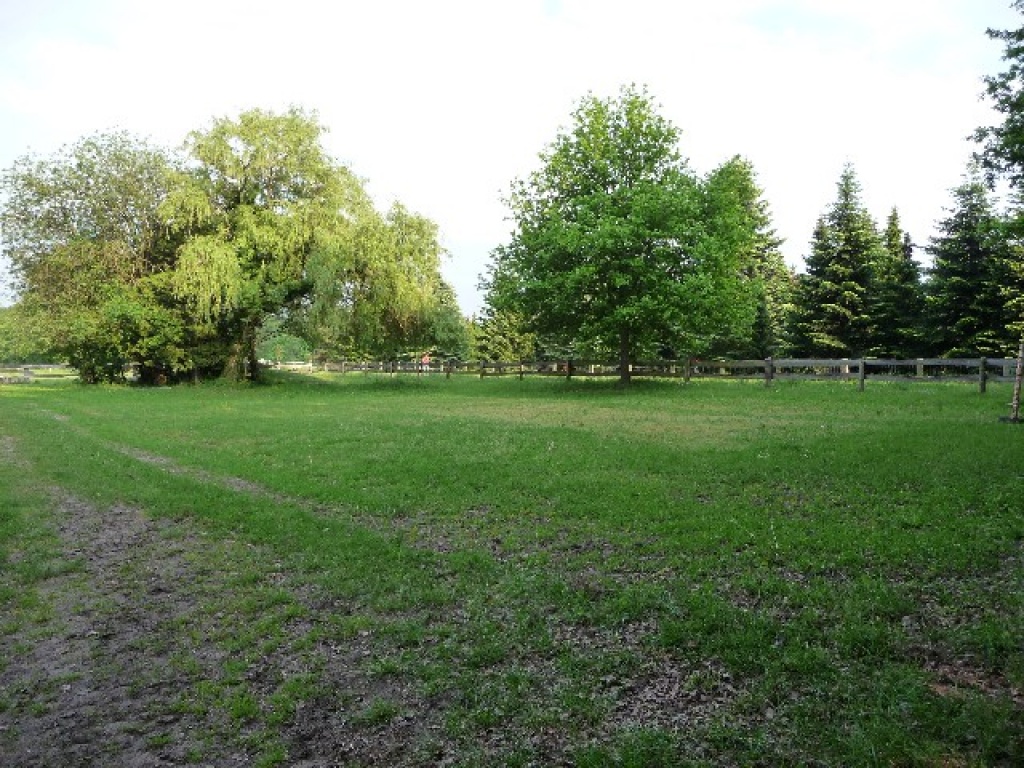 Einstellplätze mit Rundumservice - Stallplatz - Wedemark