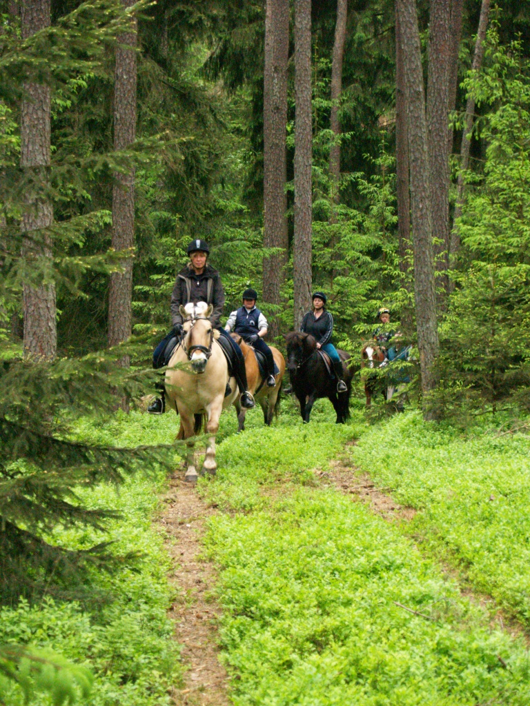 Reitferien - Reitferien - Wehlmäusel Feuchtwangen