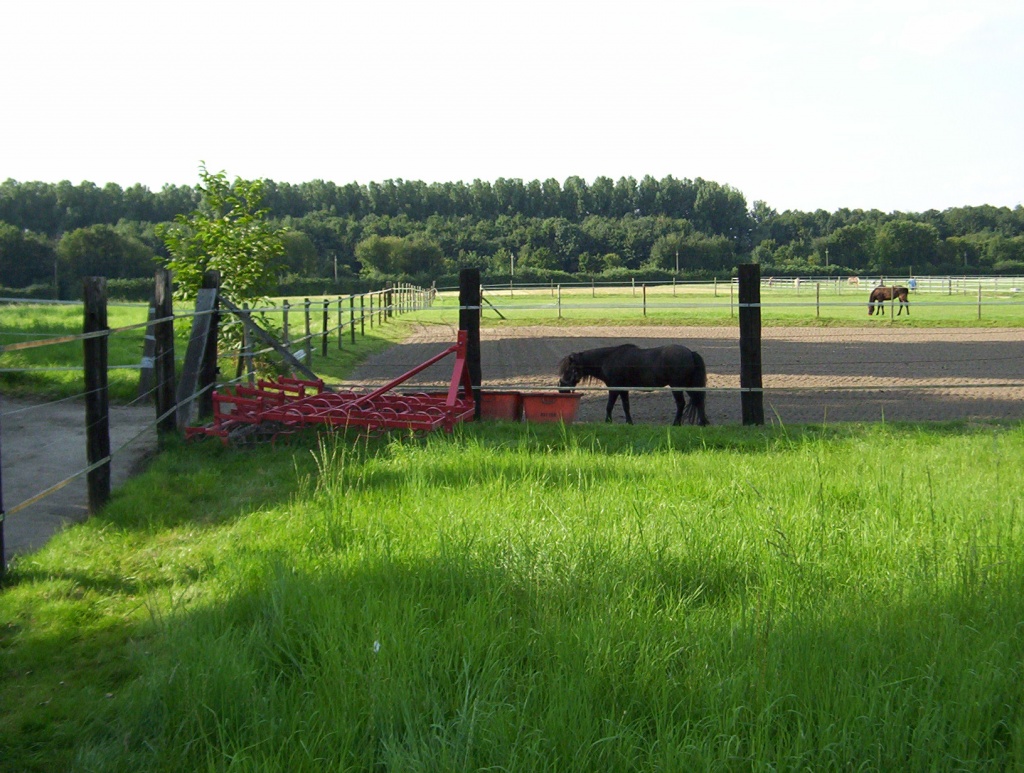 BOXEN FREI - Stallplatz - Neuss