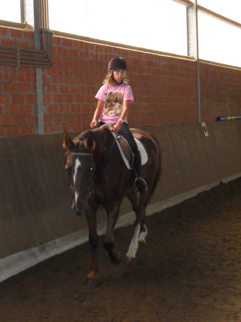 Herzenswunsch reitbeteiligung - Reitbeteiligung - Gelsenkirchen