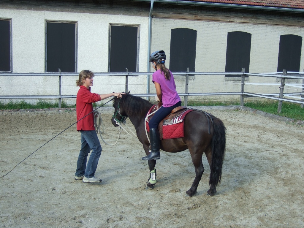 Reitferien, Tages- und Weekendaufenthalte - Reitferien - Eriswil/Schweiz