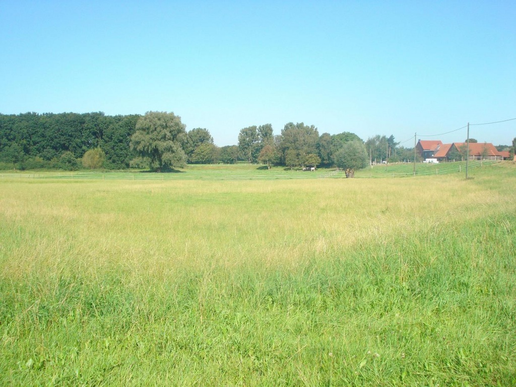 Pferdebox/en frei - Stallplatz - Haltern am See